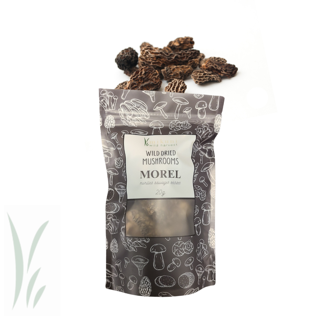 Dried Wild Morel Mushrooms / 20g